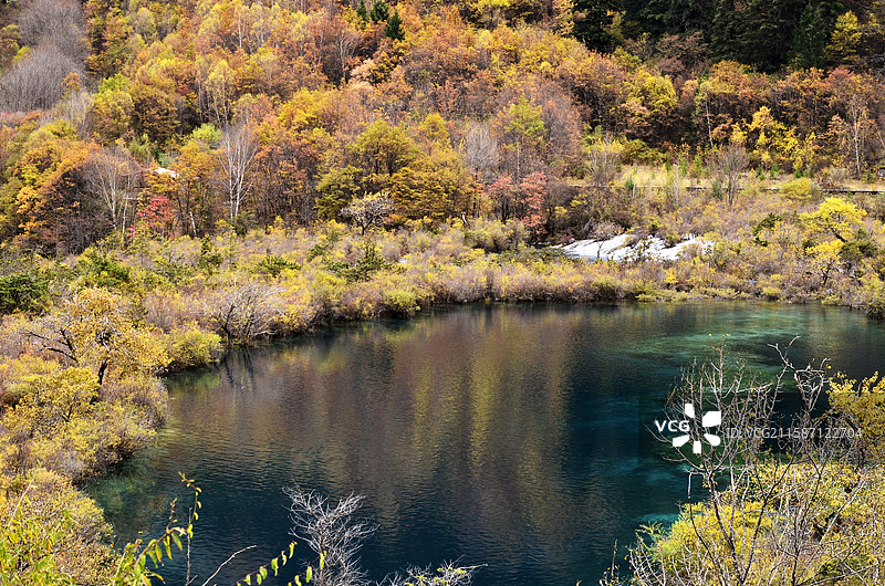 四川九寨沟秋天树正群海盆景滩秋景图片素材