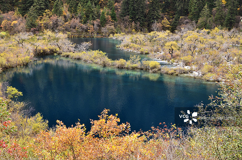 四川九寨沟秋天树正群海盆景滩秋景图片素材