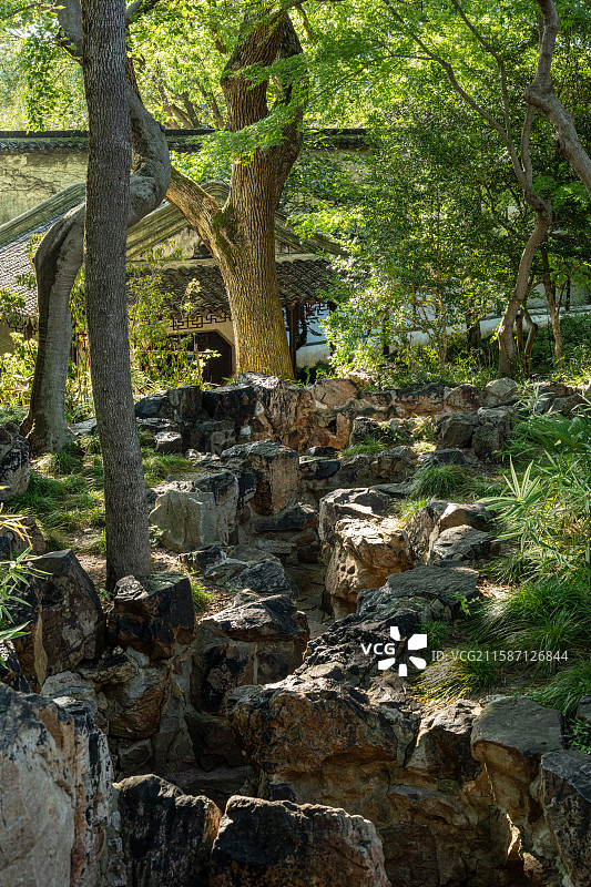 苏州留园假山石林与树木掩映图片素材