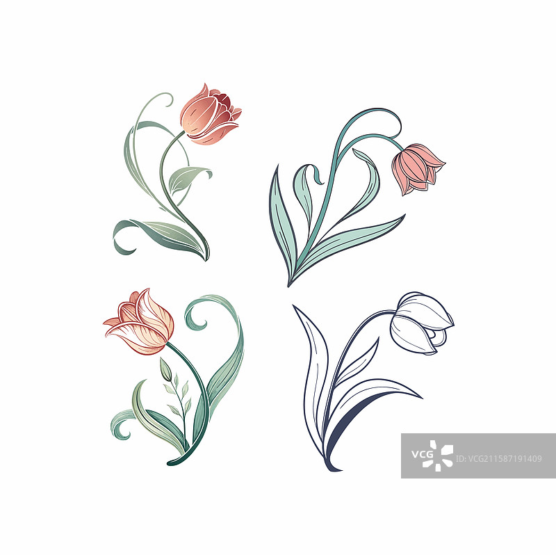 一组郁金香图片素材