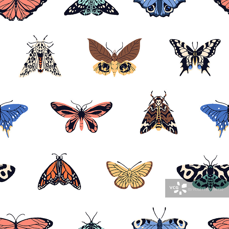 不同异国情调的可重复图案图片素材