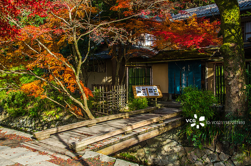 日本京都红叶季哲学之道小景图片素材