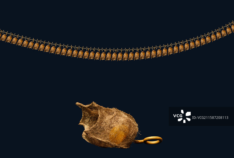 波罗的海琥珀，首饰，脏辫系列，吊坠图片素材