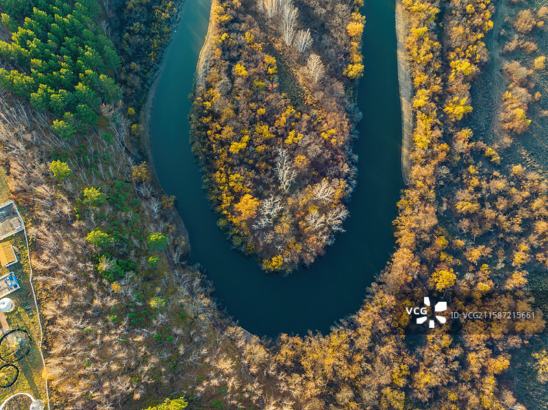 额尔古纳黑山头湿地，秋日河畔金黄画卷，阳光明媚景色美。图片素材