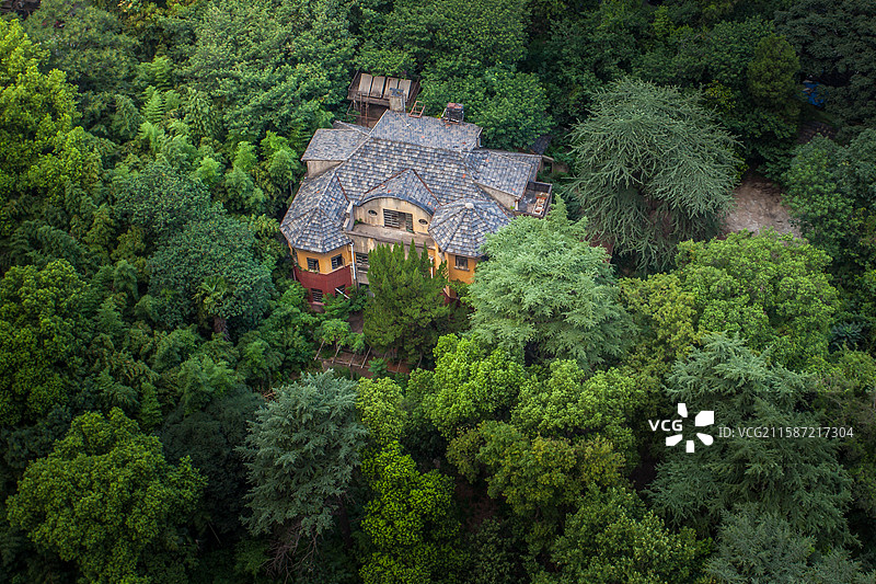 树木和建筑物的高角度视图图片素材