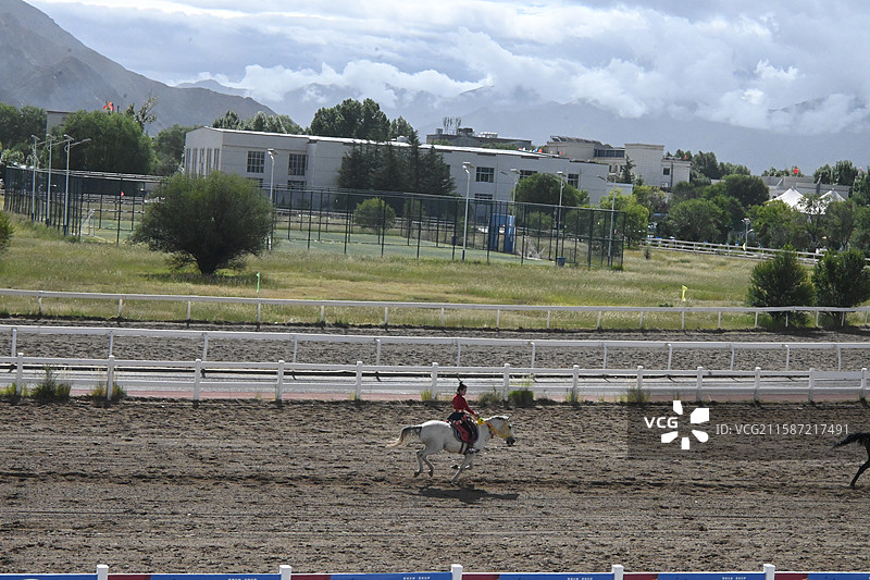 西藏 拉萨 雪顿节  赛马图片素材
