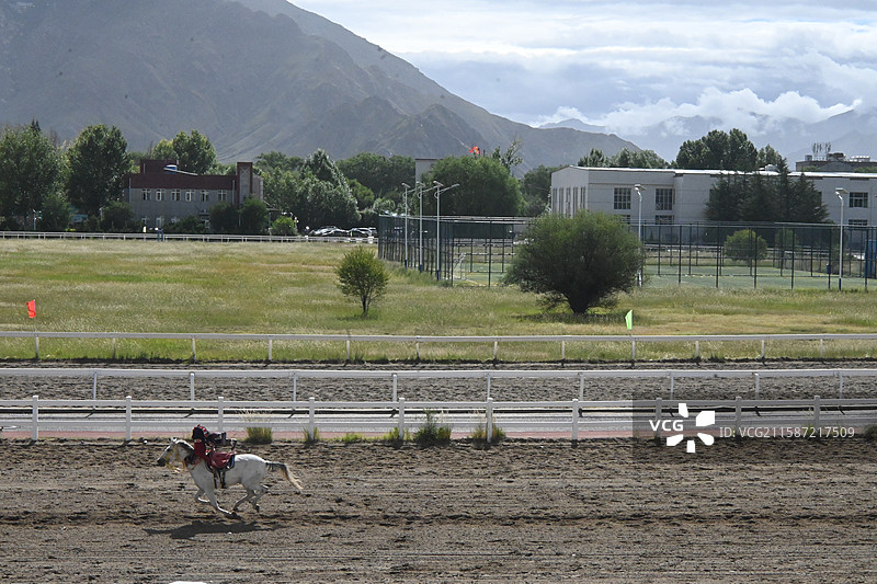 西藏 拉萨 雪顿节  赛马图片素材