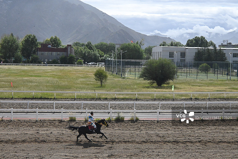 西藏 拉萨 雪顿节  赛马图片素材