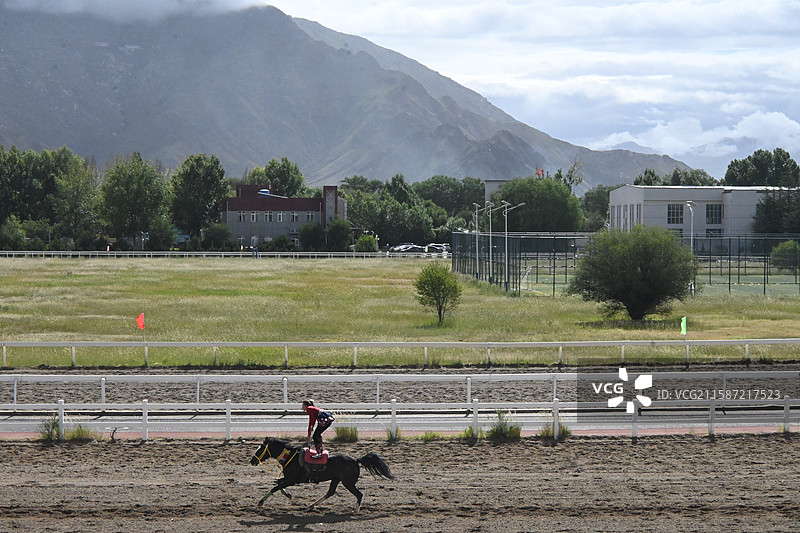 西藏 拉萨 雪顿节  赛马图片素材