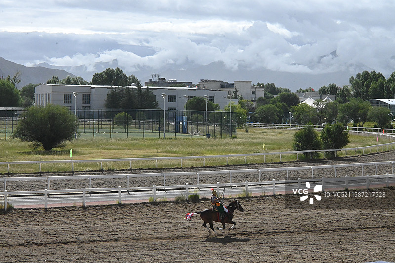 西藏 拉萨 雪顿节  赛马图片素材