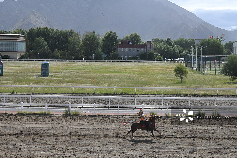 西藏 拉萨 雪顿节  赛马图片素材