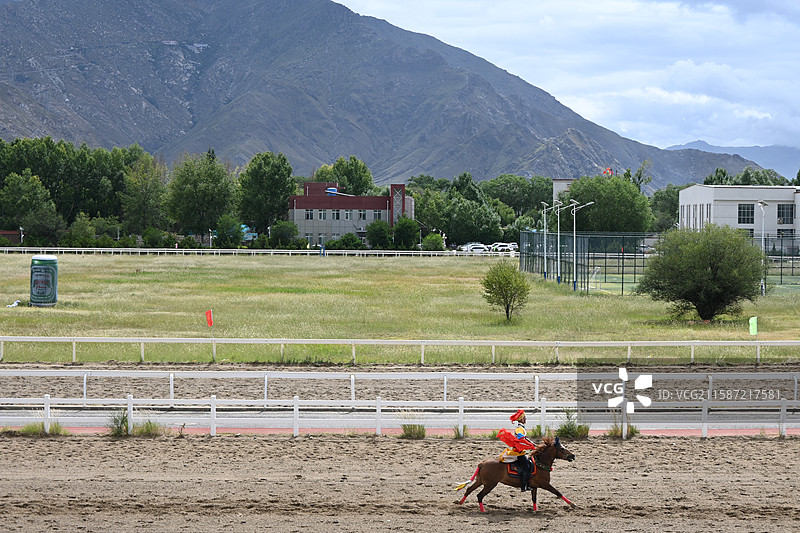 西藏 拉萨 雪顿节  赛马图片素材