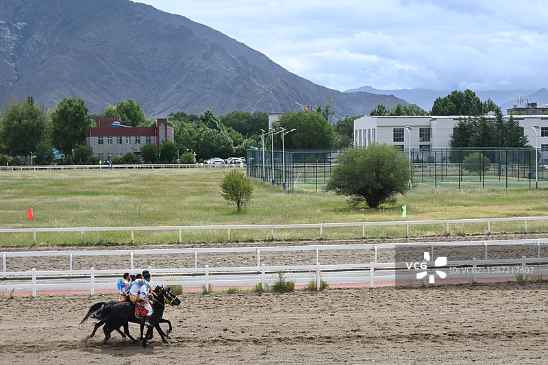 西藏 拉萨 雪顿节  赛马图片素材