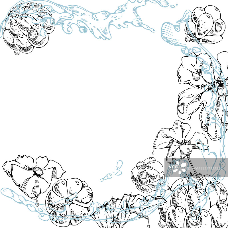 云莓和覆盆子在波浪中飞溅的水花图片素材