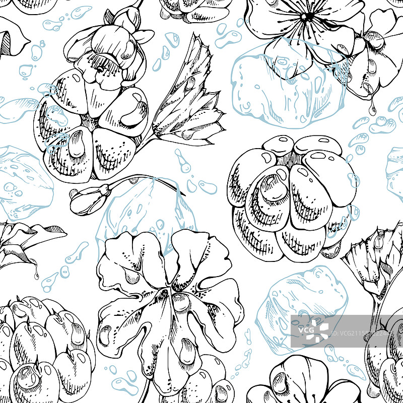 云莓和覆盆子在水花中飞溅图片素材