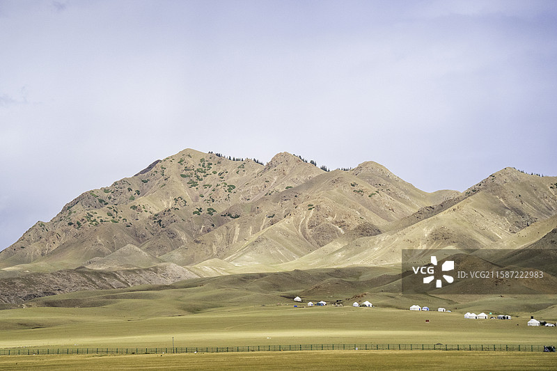 赛里木湖草原图片素材