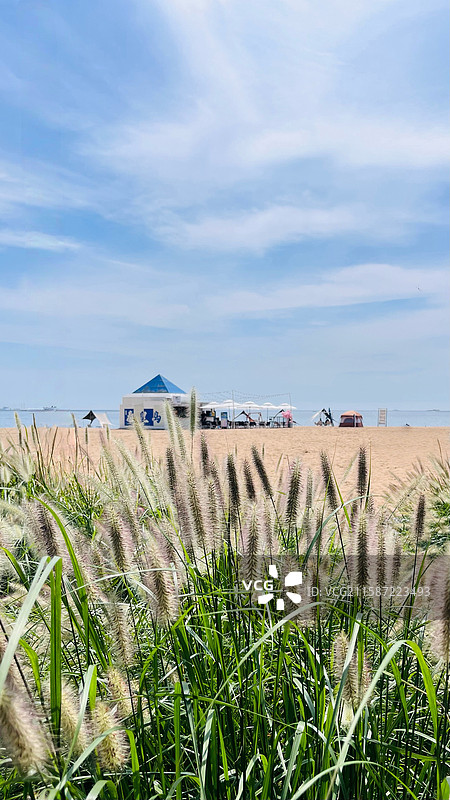 秦皇岛私藏海滩！草浪沙滩治愈一整个夏天图片素材