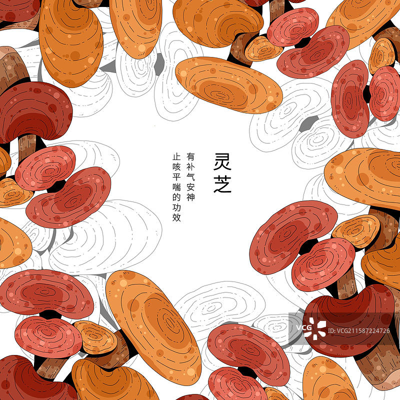 小清新中草药插画-灵芝图片素材