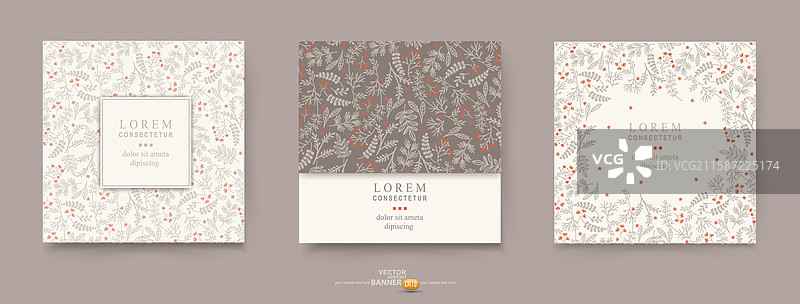 米色柔和色调的花卉背景模板图片素材