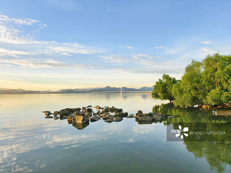 清晨的深圳湾公园图片素材