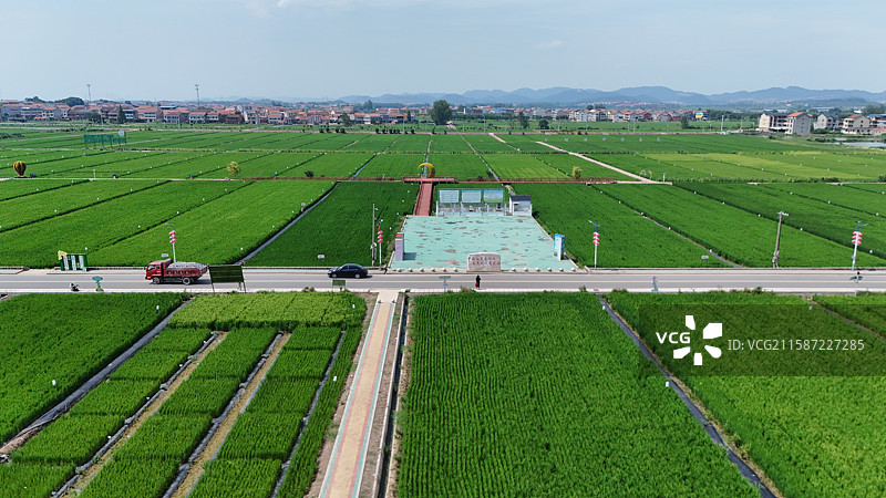 航拍武穴市上桂村田园风光图片素材