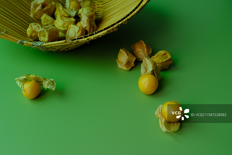 绿色纯色背景下的菇娘水果。留白设计素材背景图图片素材