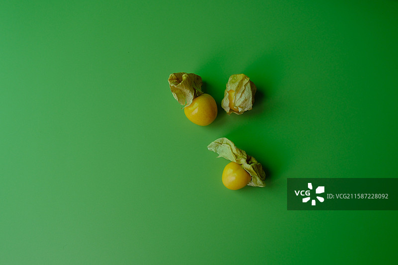 绿色纯色背景下的菇娘水果。留白设计素材背景图图片素材