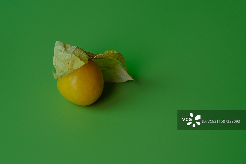 绿色纯色背景下的菇娘水果。留白设计素材背景图图片素材