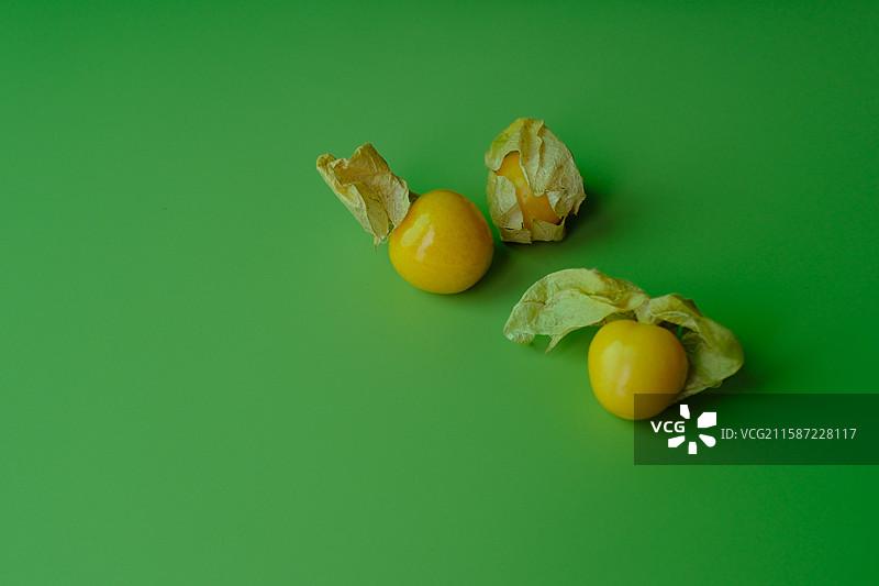 绿色纯色背景下的菇娘水果。留白设计素材背景图图片素材