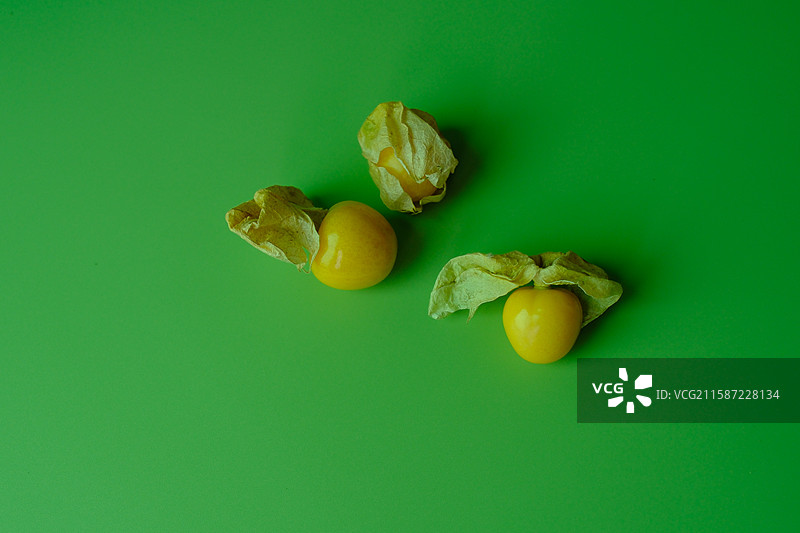 绿色纯色背景下的菇娘水果。留白设计素材背景图图片素材