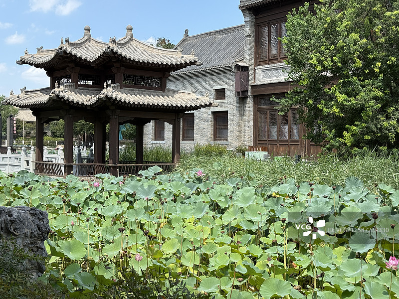 河南省 郑州市 中牟县 电影小镇 剧场 创意空间 露天剧场  实景演出 仿古建筑 荷花池 莲花池 荷图片素材