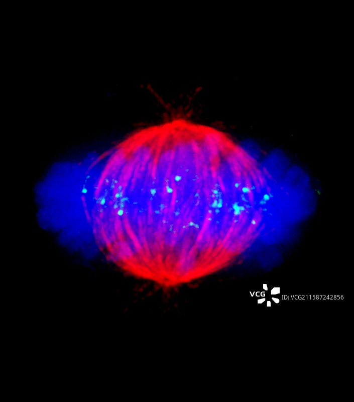 科学照片库图片素材