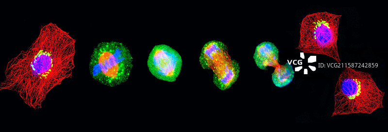 科学照片库图片素材