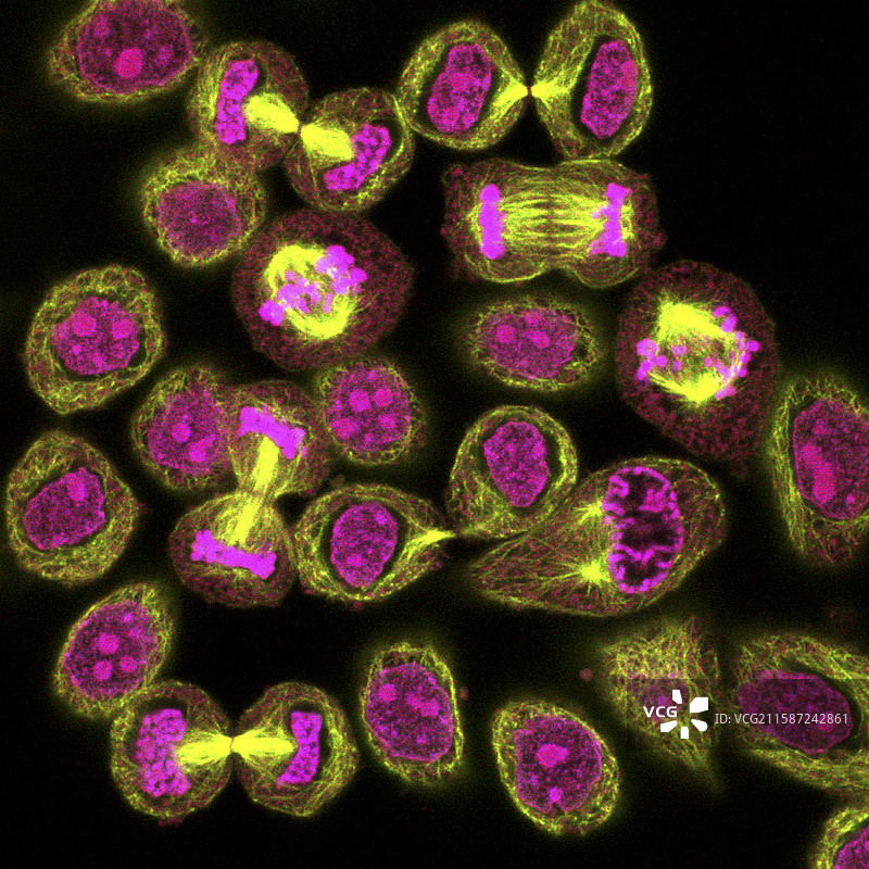 科学照片库图片素材