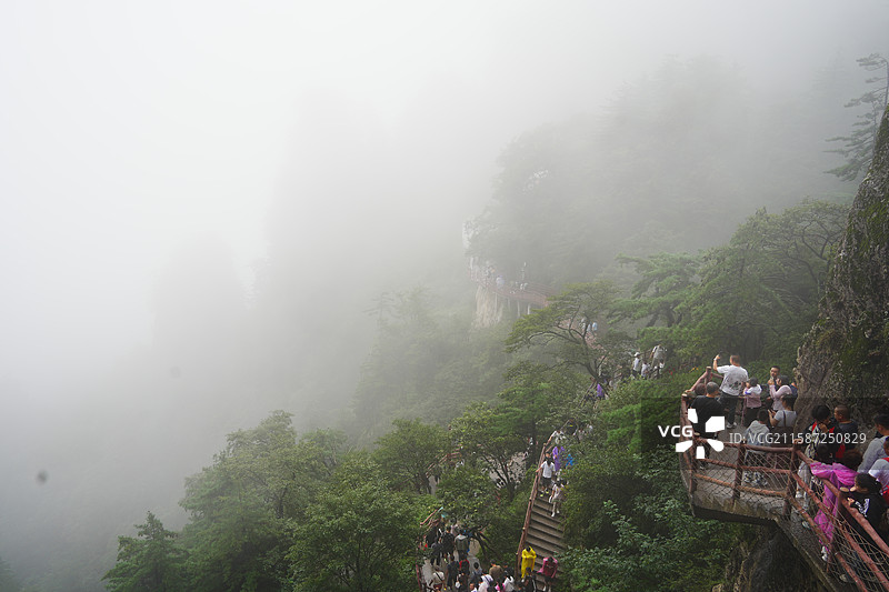 浓雾中的老君山十里画廊图片素材
