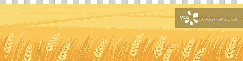 美丽的金色麦田插画图片素材