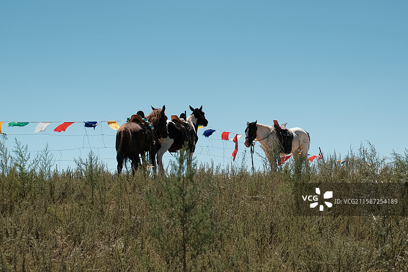 乌兰察布格根塔拉草原图片素材