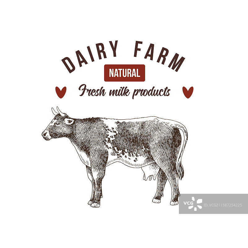 手绘奶牛的奶制品农场标志模板图片素材