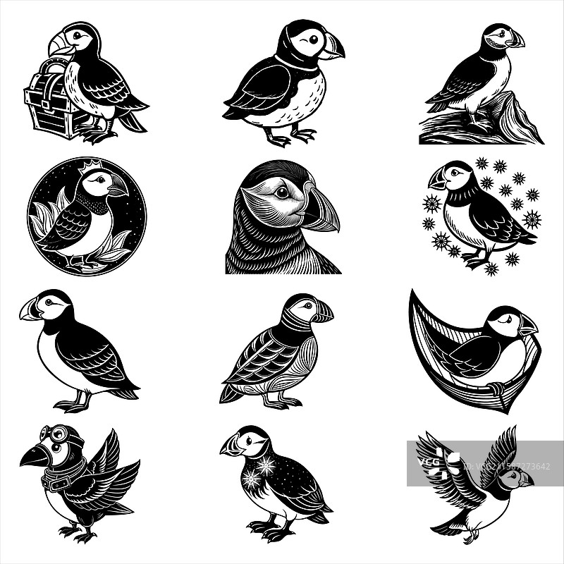 海雀套装图片素材