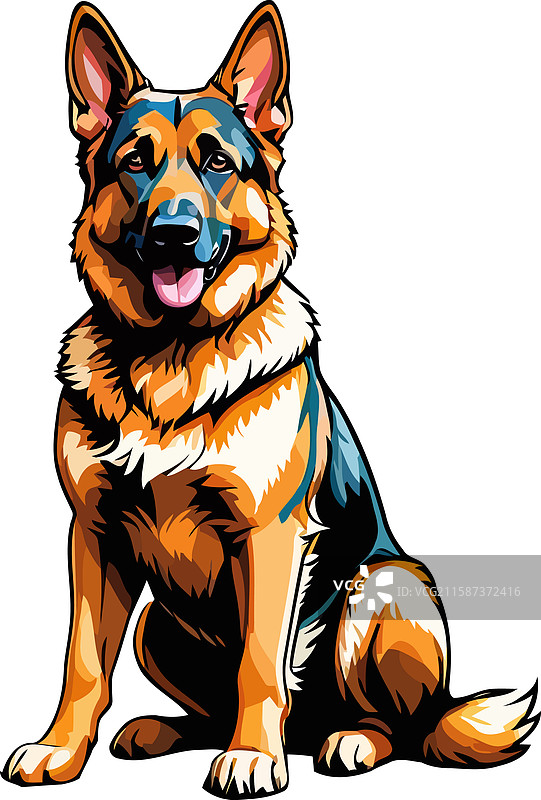 美丽的德国牧羊犬坐在地板上图片素材