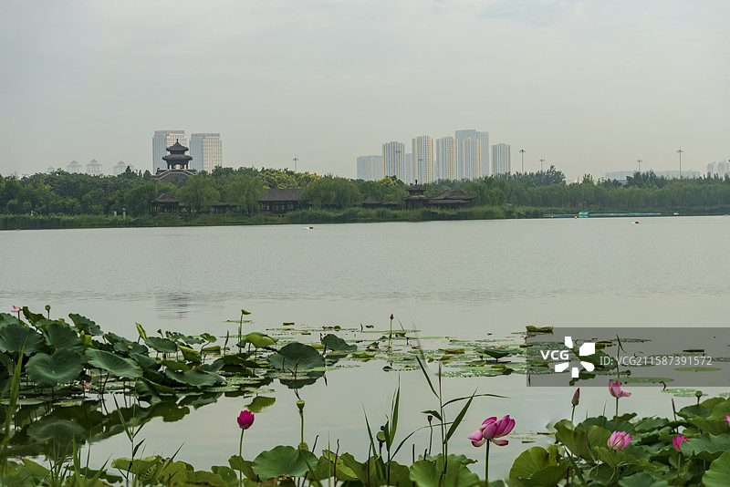 天津水西公园图片素材