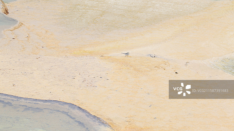 四川阿坝黄龙五彩池-钙化景观图片素材