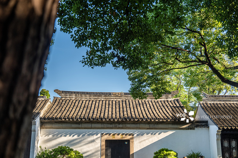 苏州留园屋檐与树影映照白墙图片素材