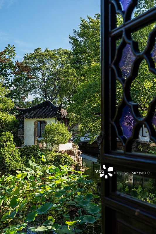 苏州拙政园彩窗与荷塘景观图片素材