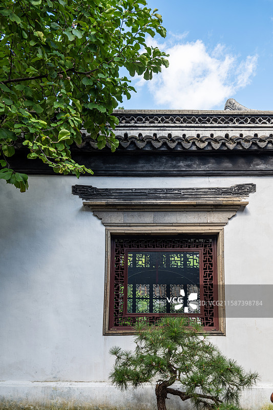苏州狮子林白墙木窗与绿树景观图片素材