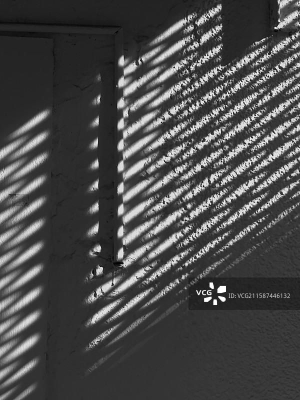 有影随行图片素材