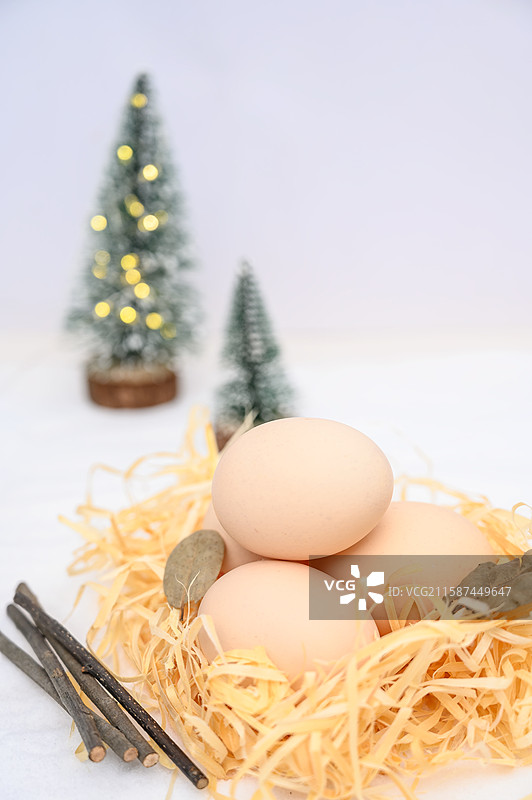 树枝树叶和鸡窝里的鸡蛋图片素材