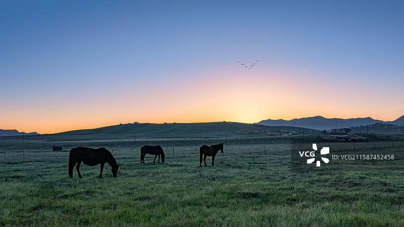 天河初燃   橙穹牧野图片素材