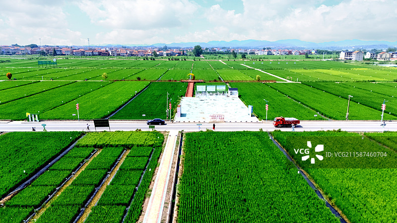 航拍武穴上桂村绿色田园风光图片素材