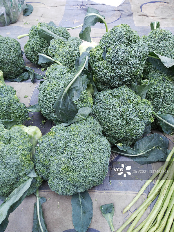 城市早市菜市场上新鲜的蔬菜水果。心里美萝卜红萝卜绿萝卜莴笋紫豆角红薯尖椒青苹果红苹果油菜绿西兰花图片素材